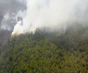   مصر اليوم - آلاف الإندونيسيين يعانون من مشاكل فى التنفس بسبب دخان حرائق الغابات